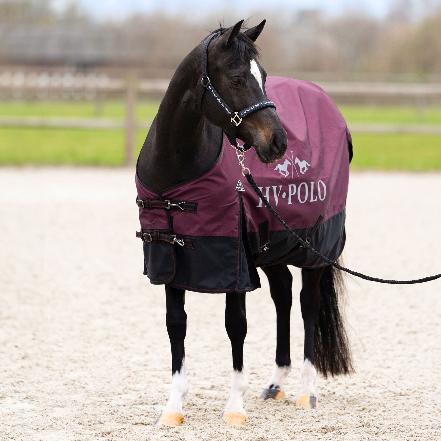 HV Polo FW26 Outdoordecke HVPSascha