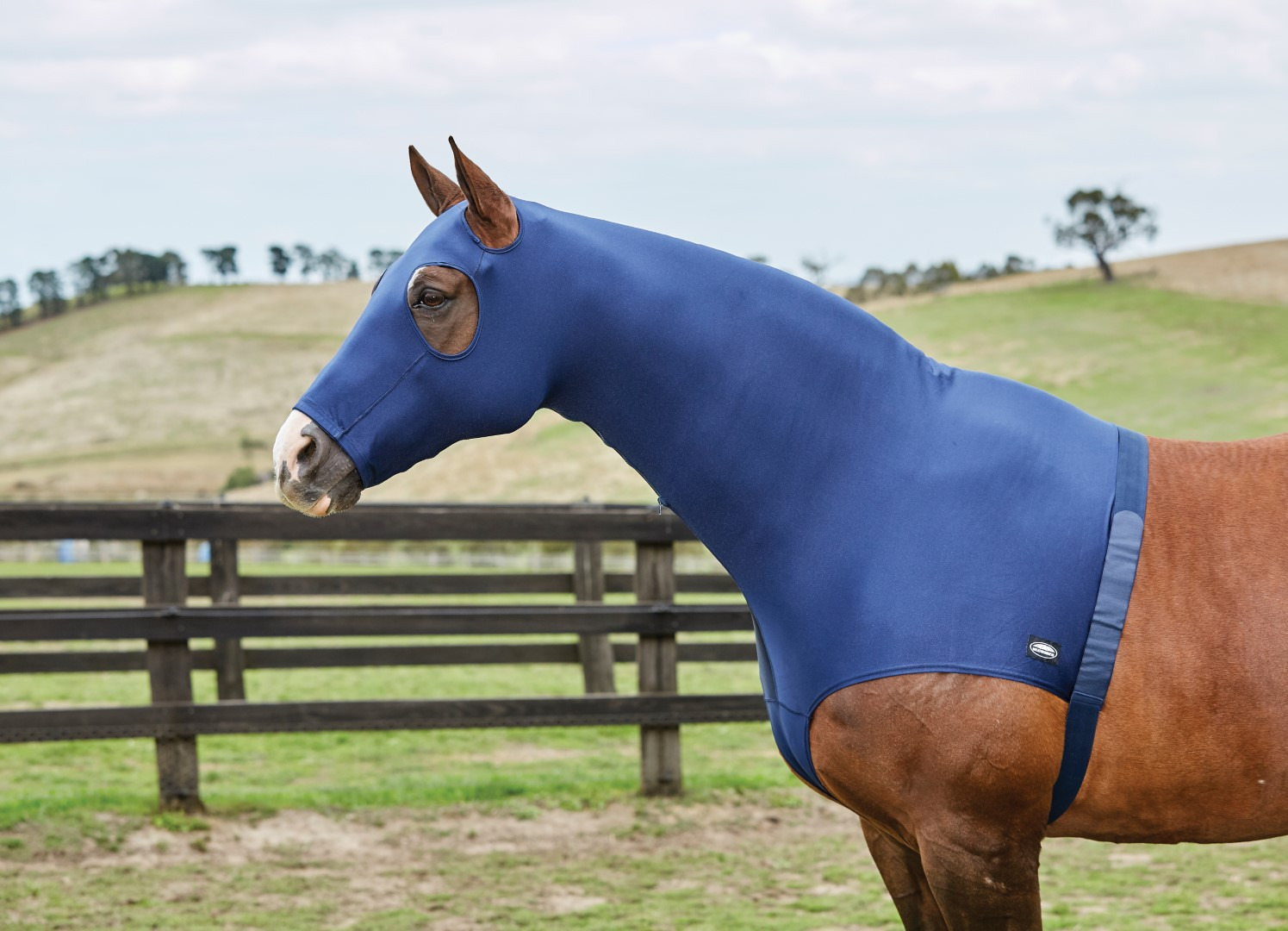Weatherbeeta Stretch Hood with zip
