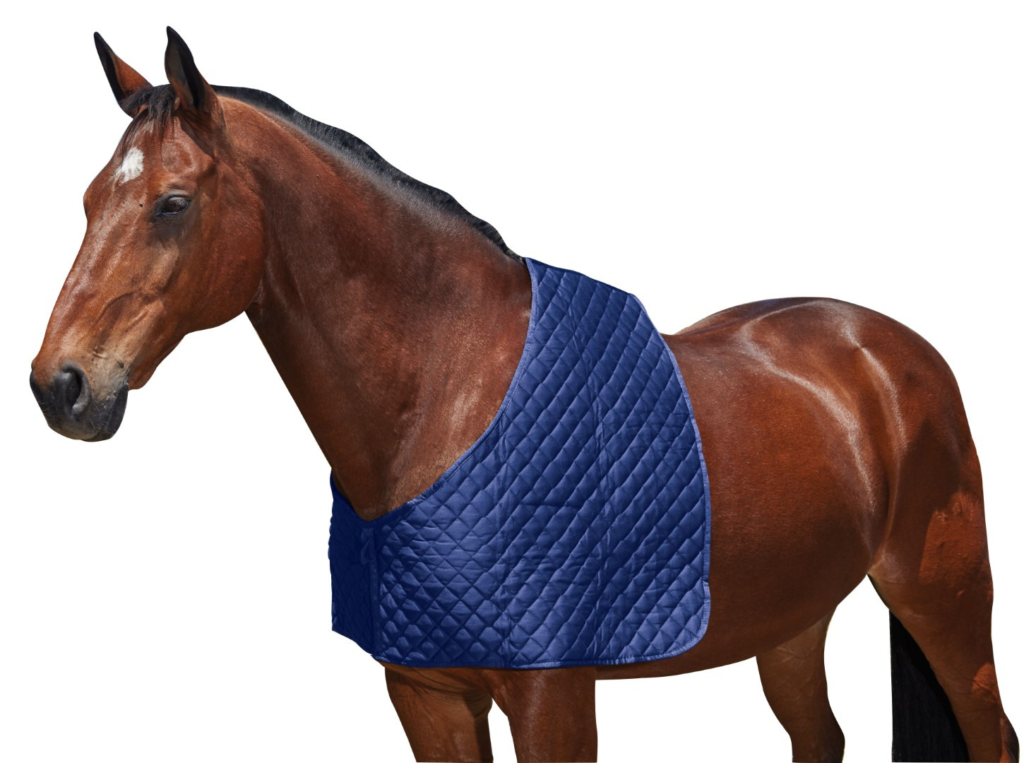 Weatherbeeta Deluxe Shoulder Protector