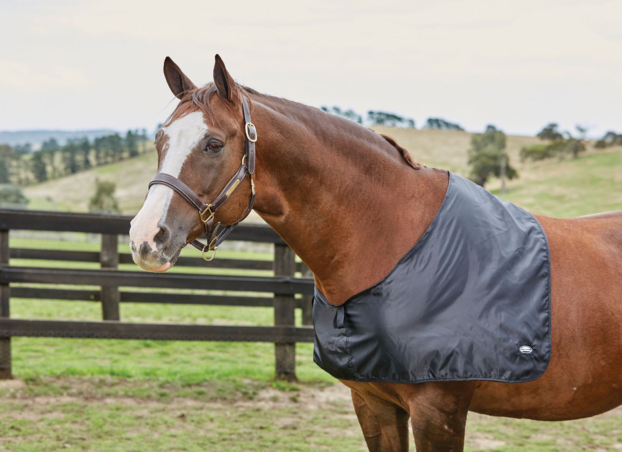 Weatherbeeta Satin Shoulder Protector