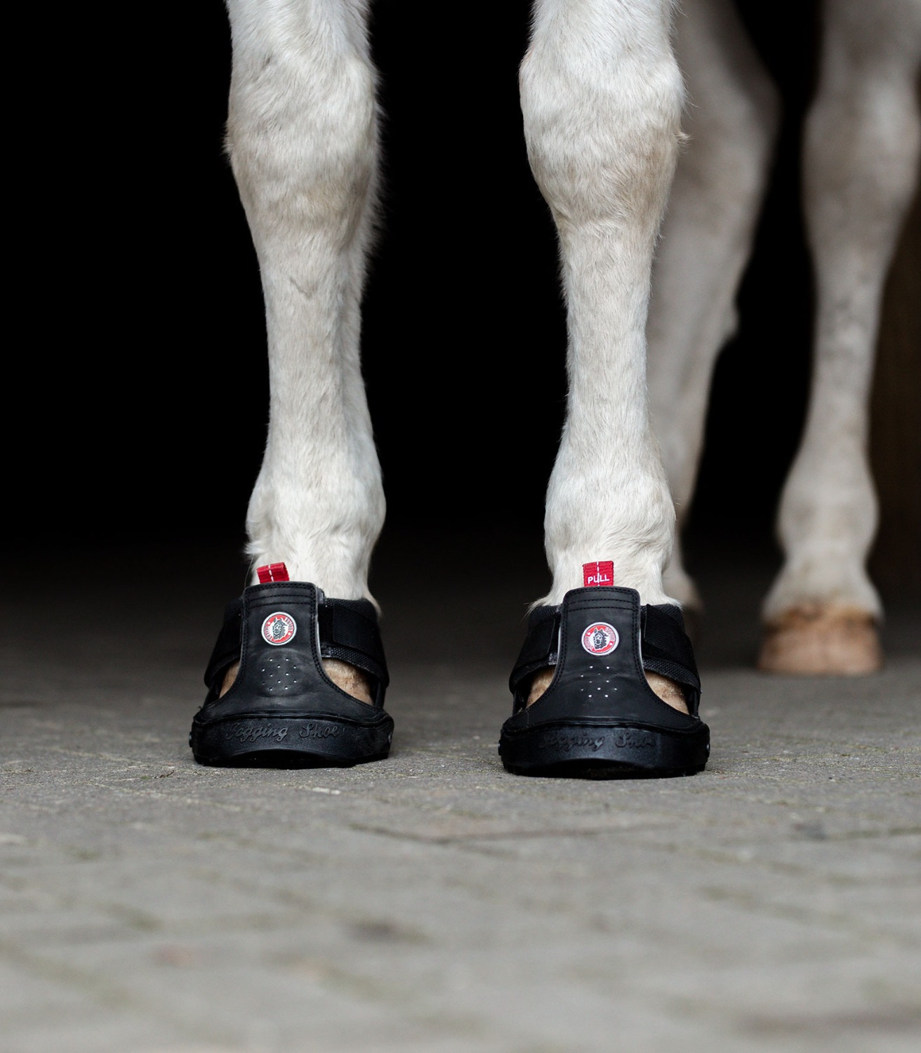 Equine Fusion Trekking-Hufschuh