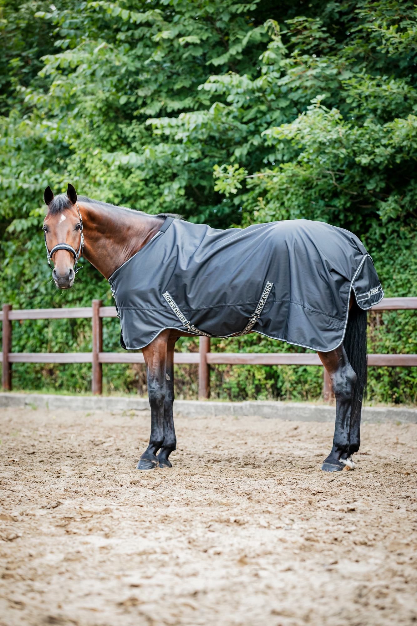 HorseGuardHG Aron 600D Weidedecke