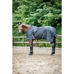 HorseGuardHG Aron 600D turnout rug