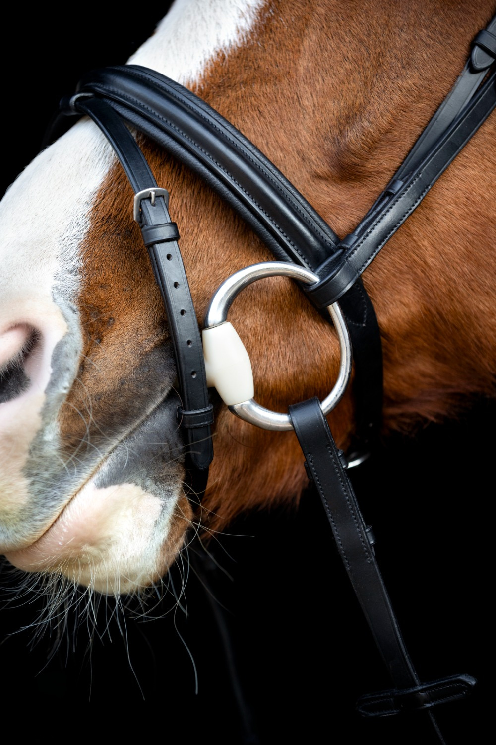 Happy Mouth Single Jointed Eggbutt Snaffle Bit