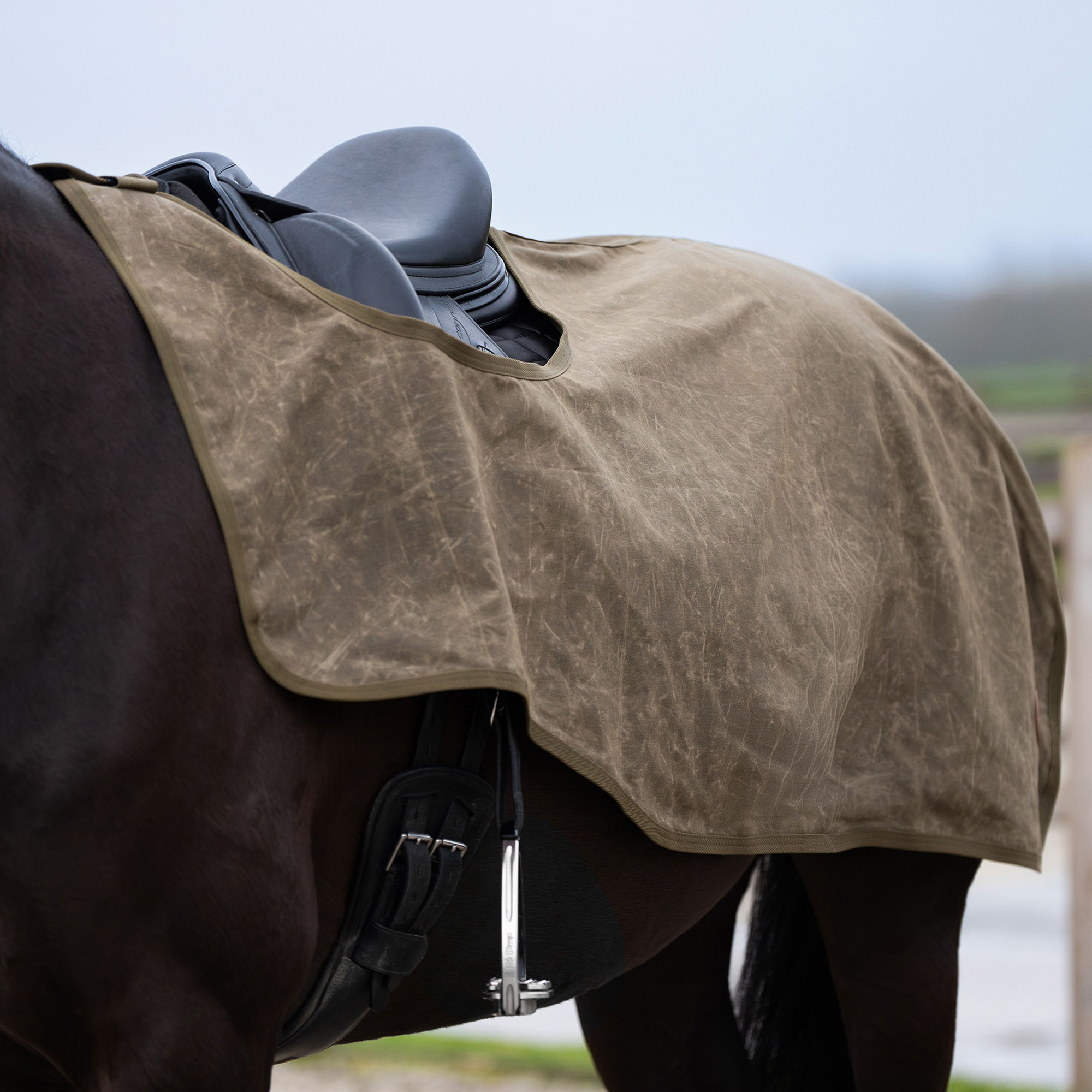 HV Polo FW26 Ausreitdecke HVPRonja