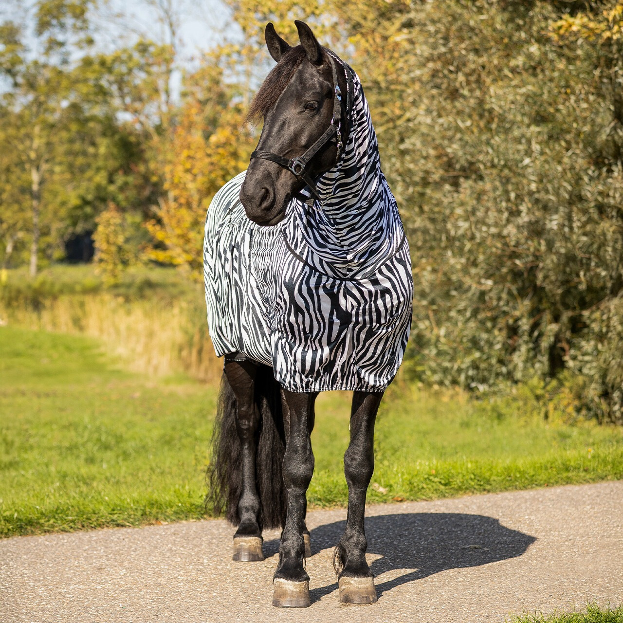 QHP Eczeemdeken Big Neck