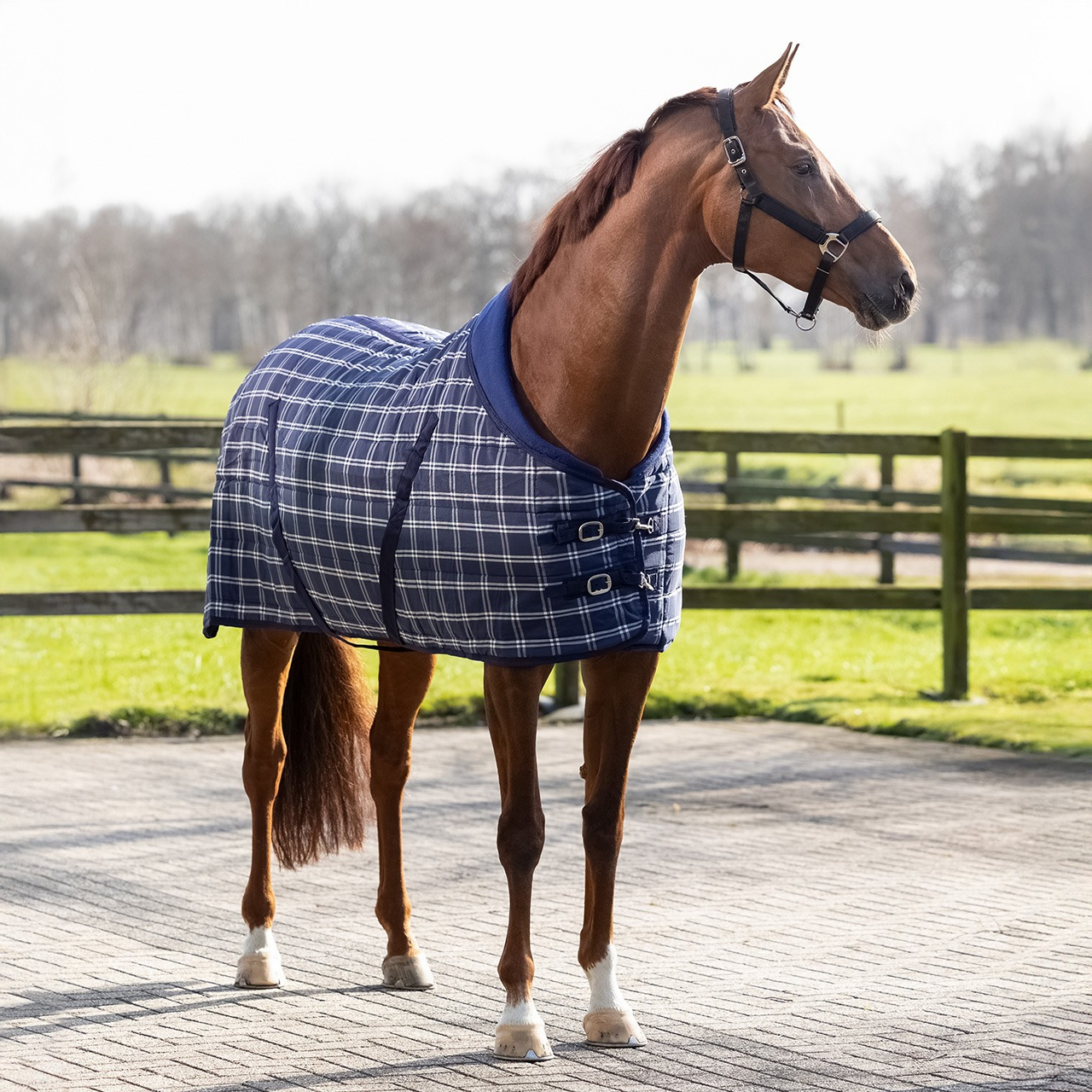 QHP Luxury Stable Rug 300g
