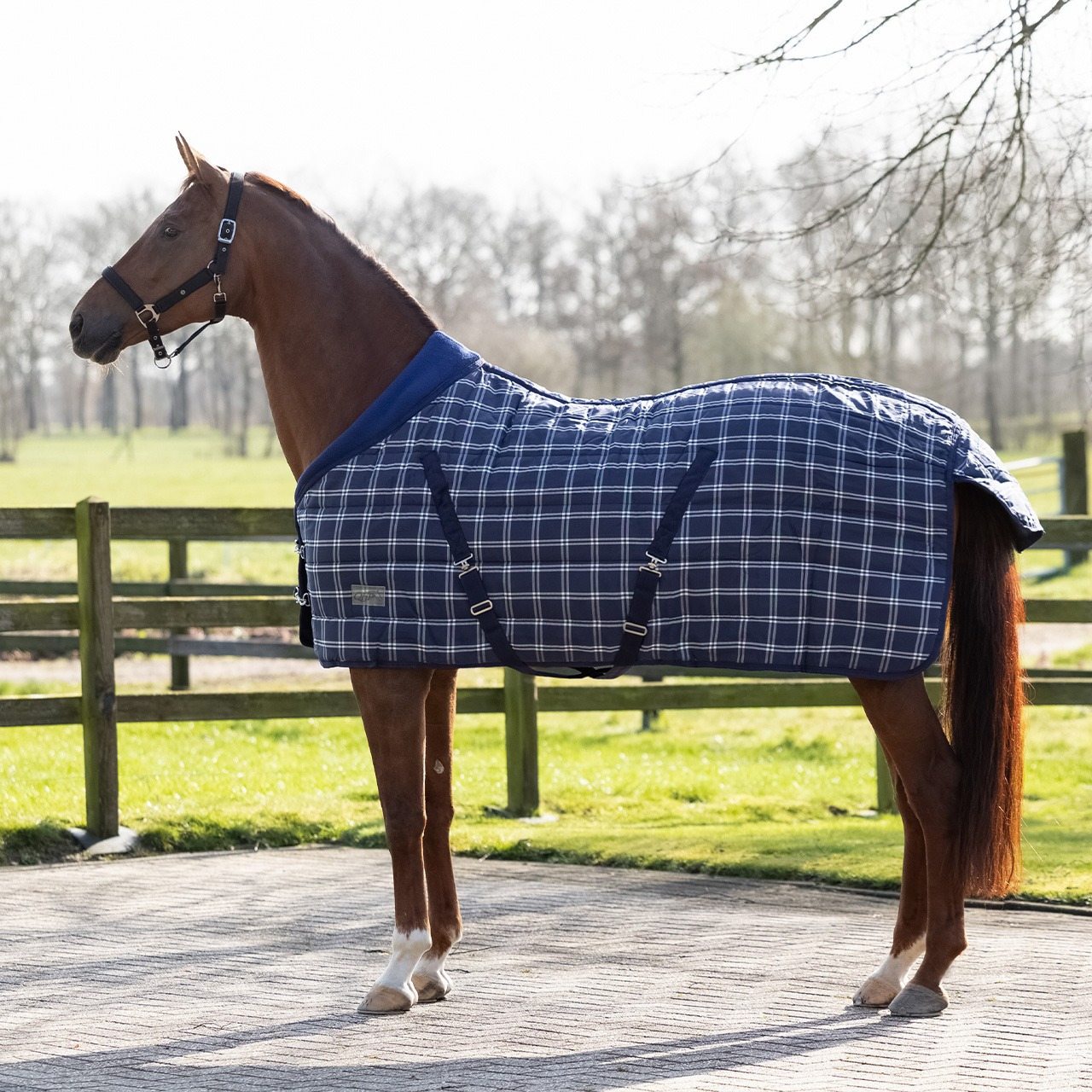 QHP Luxury Stable Rug 300g