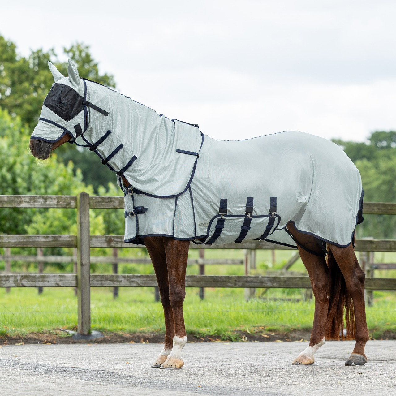 QHP Fly Sheet with Neck and Fly Mask