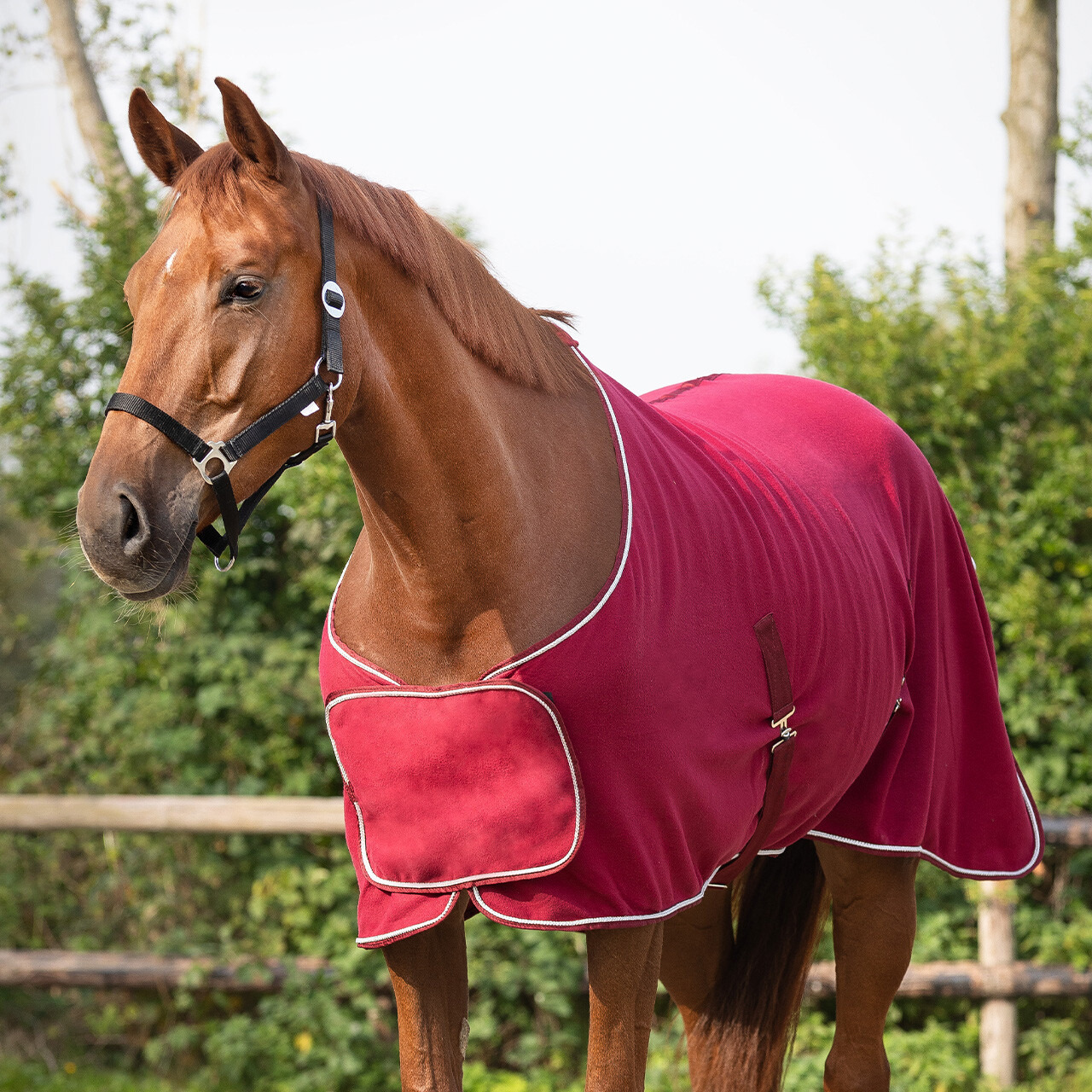 QHP Rug Fleece Ornament