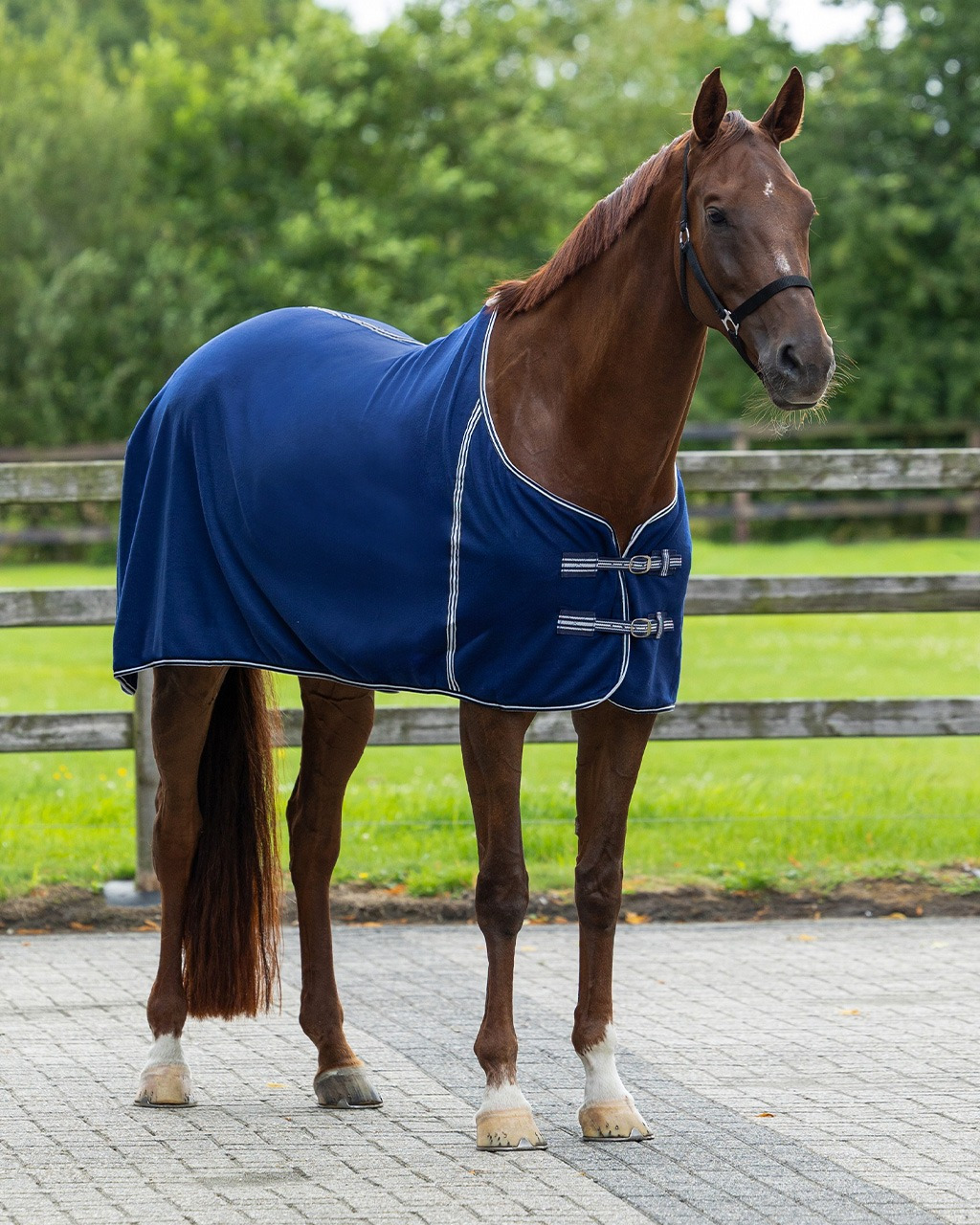 Q-essentials Basic Fleece Rug without Surcingles