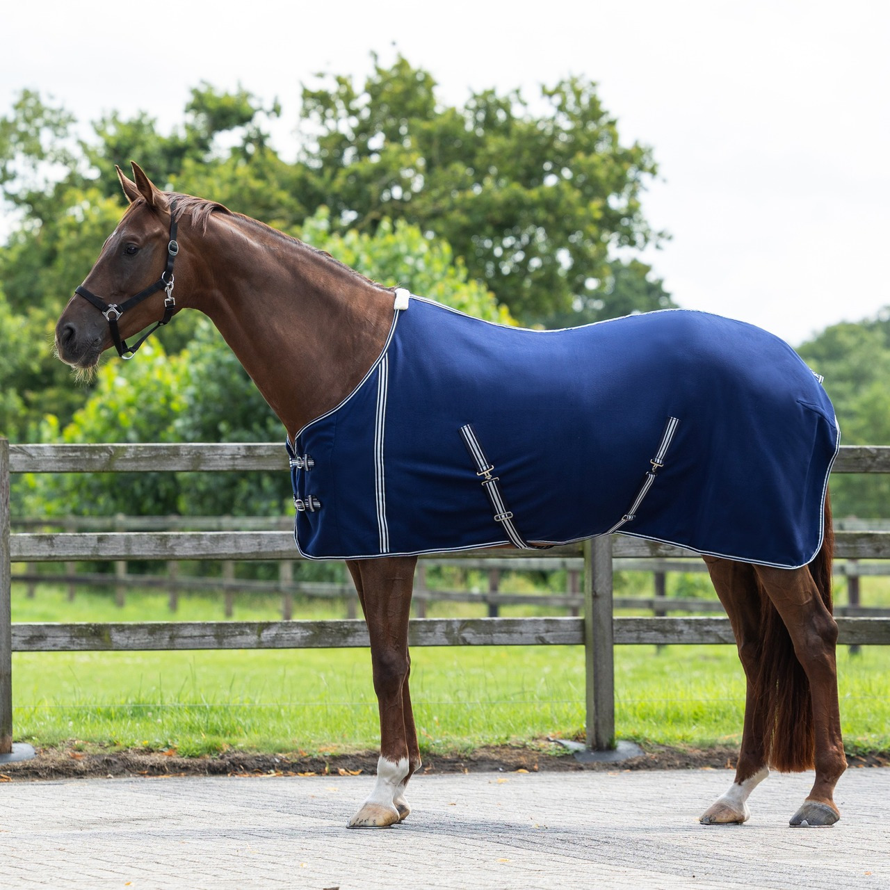 QHP Fleece Rug Basic with Surcingles