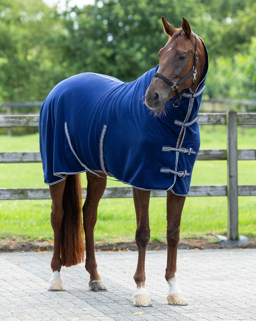 Q-essentials Basic Fleece Blanket with Neck and Surcingles