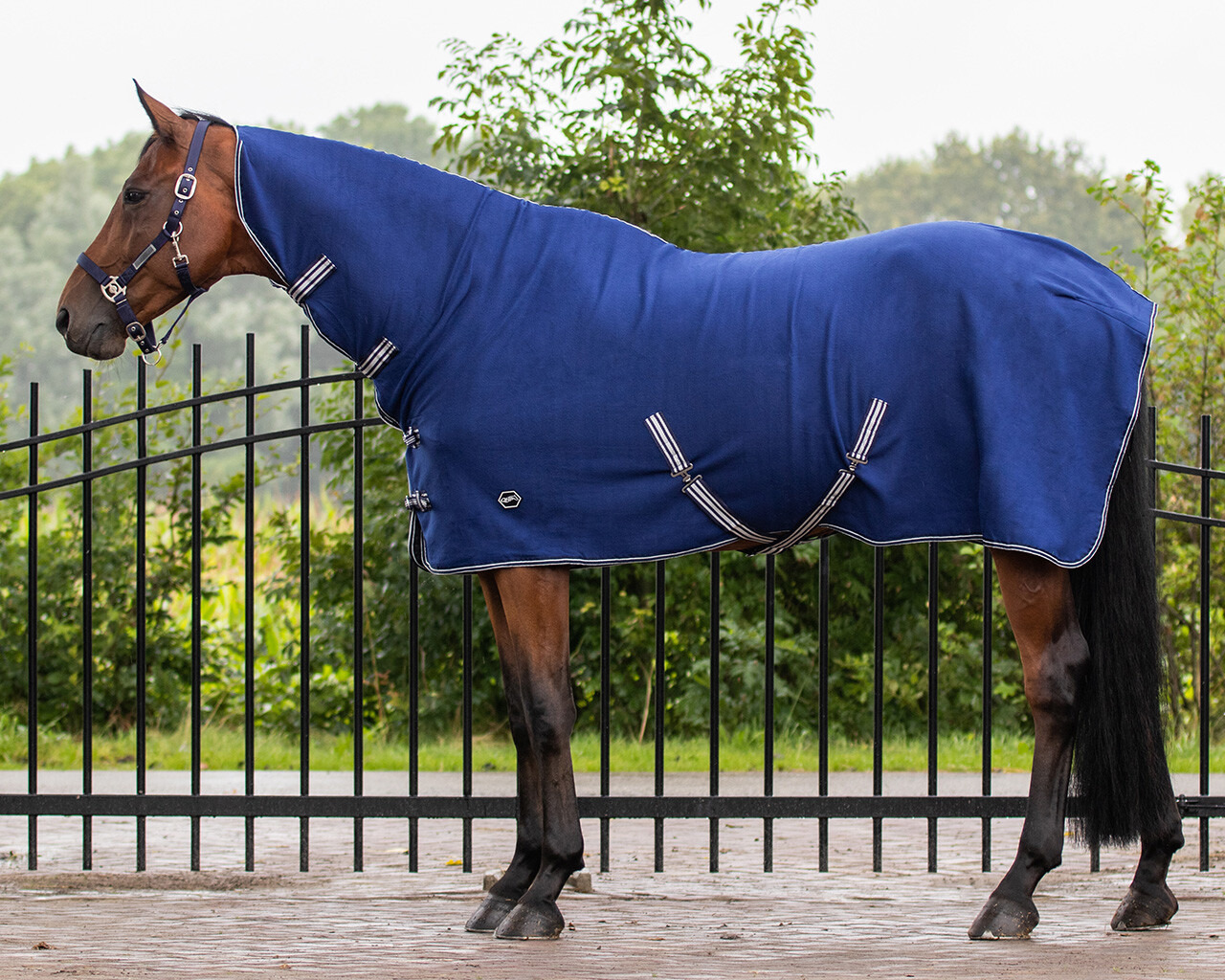 Q-essentials Basic Fleece Blanket with Neck and Surcingles