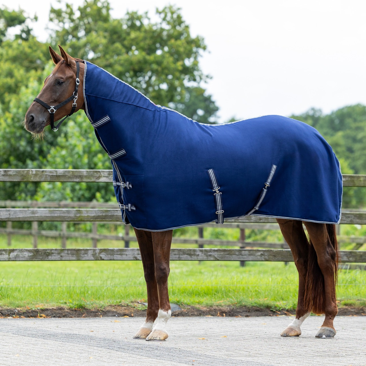 Q-essentials Deken fleece basic hals en singels