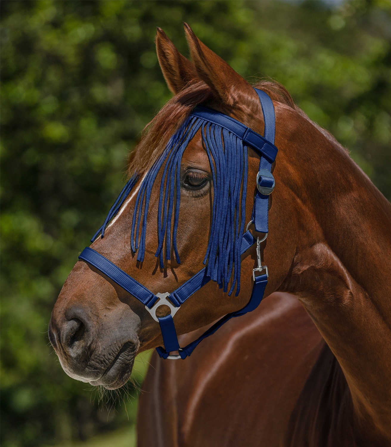 Waldhausen Fly Browband Salon
