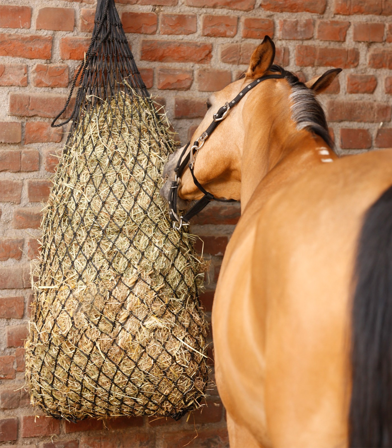Waldhausen Hay Net Big
