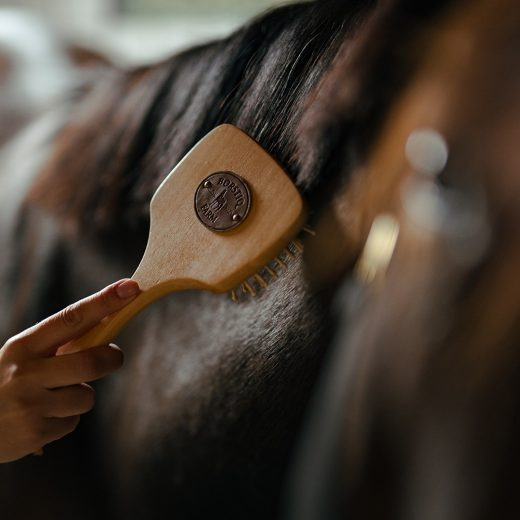 Borstiq kammförmige Mähnen- und Schweifbürste mit antistatischer Gummiplatte