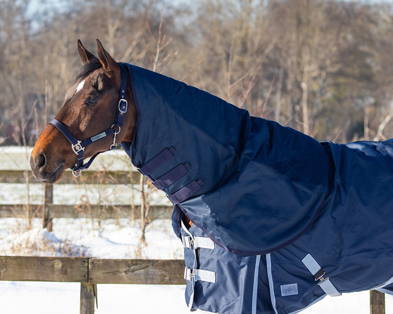 QHP Turnout Neck 200 g