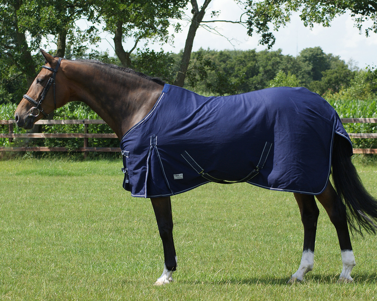 QHP Summer Rug