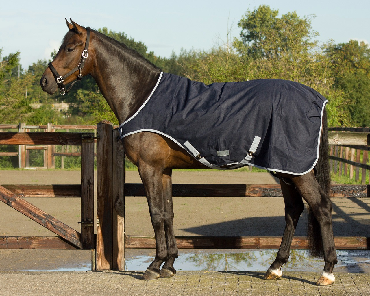 QHP Walker Rug Waterproof 200g