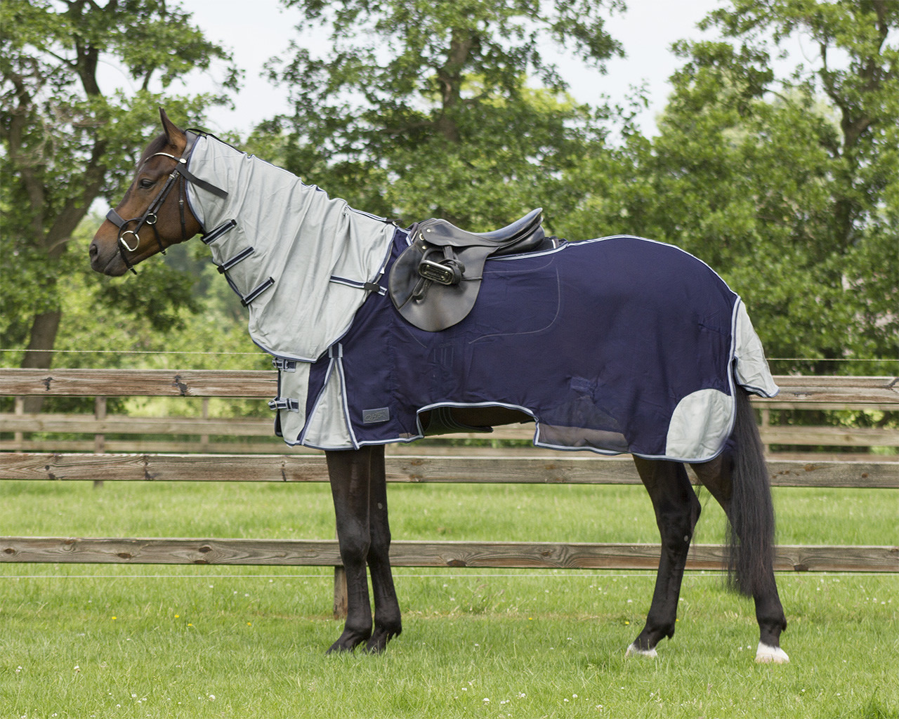 QHP Exercise fly sheet with neck