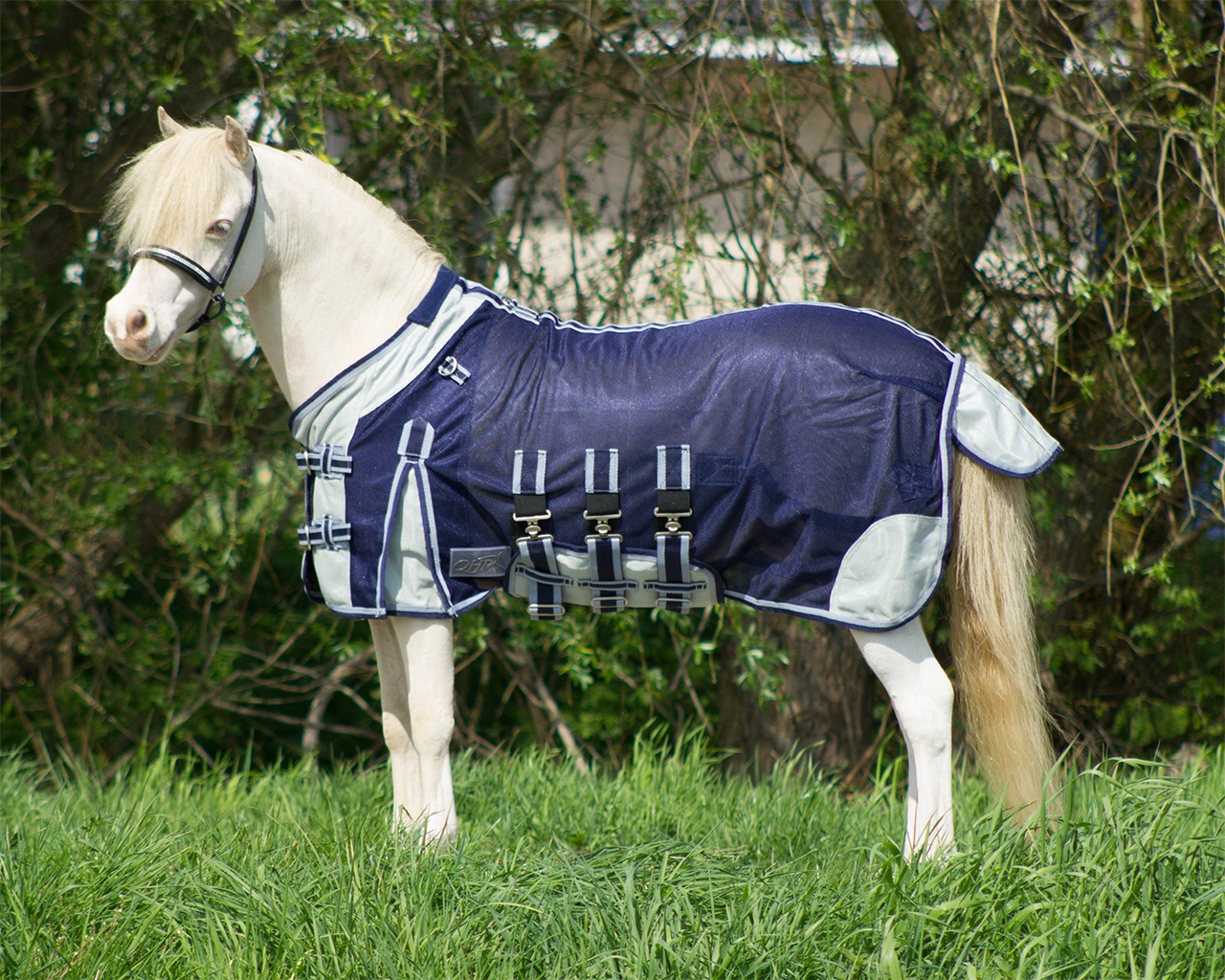 QHP Fly Sheet Falabella
