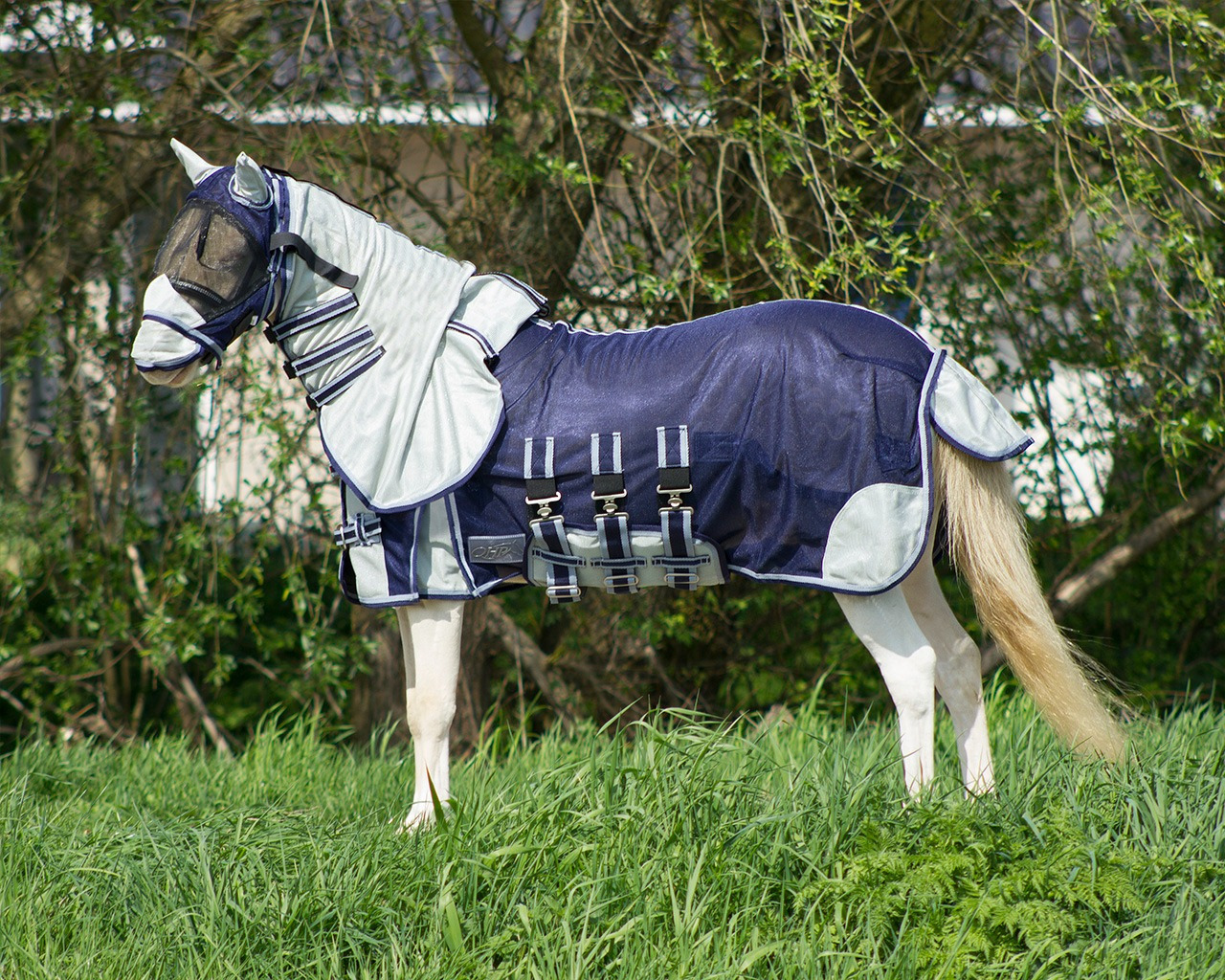 QHP Fly Sheet Falabella