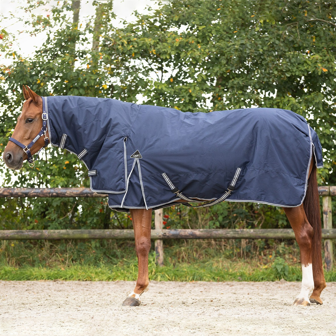 QHP Turnout Rug with Fixed Neck 300g