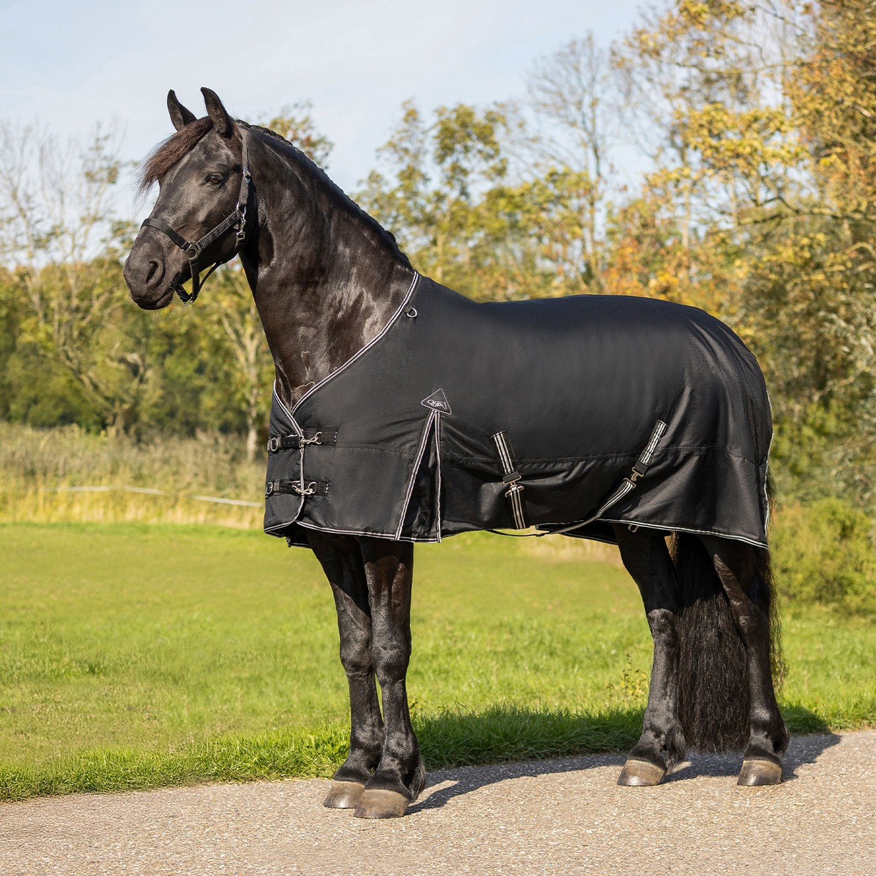 QHP Rug turnout Big neck 300gr