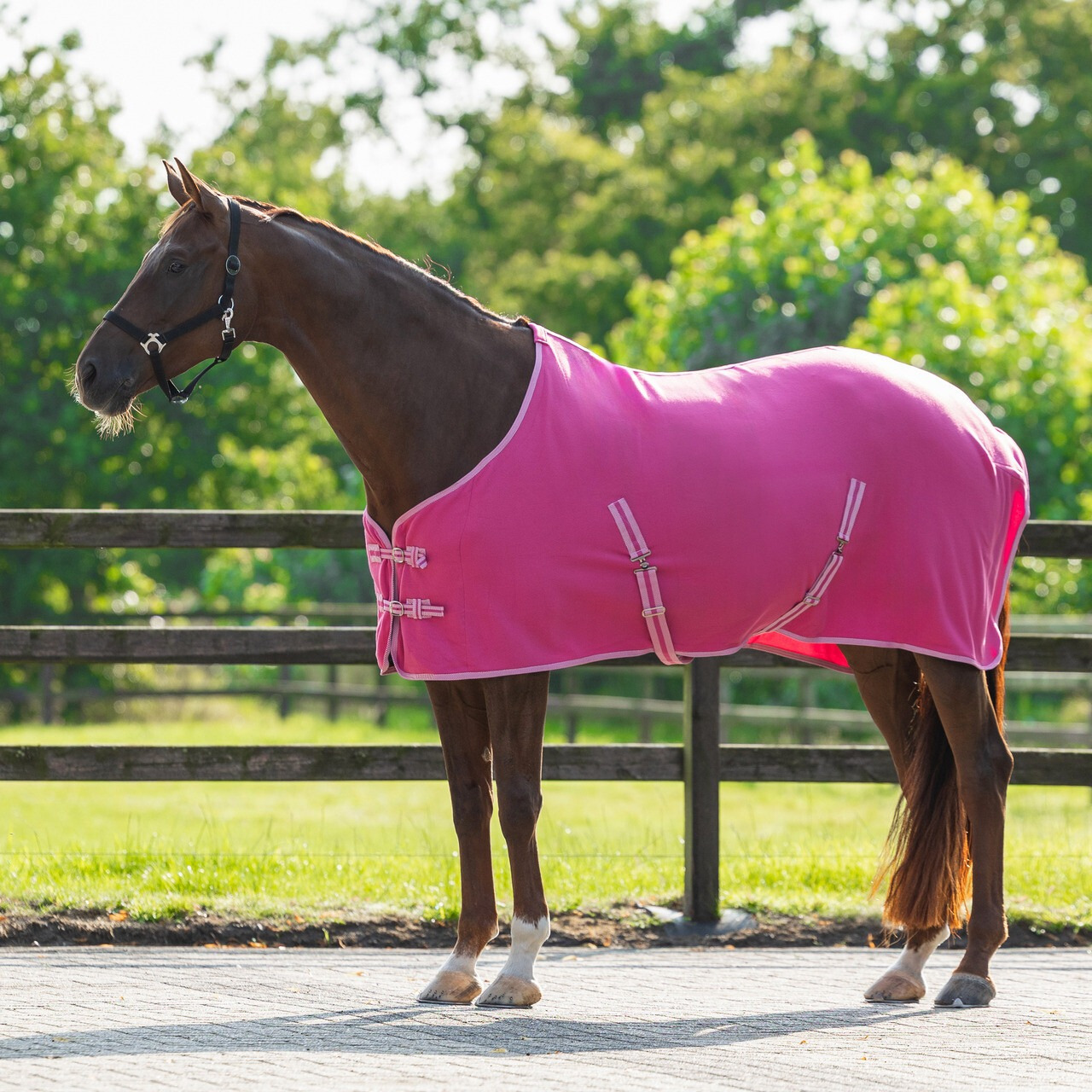 Q-essentials Deken fleece color met singels