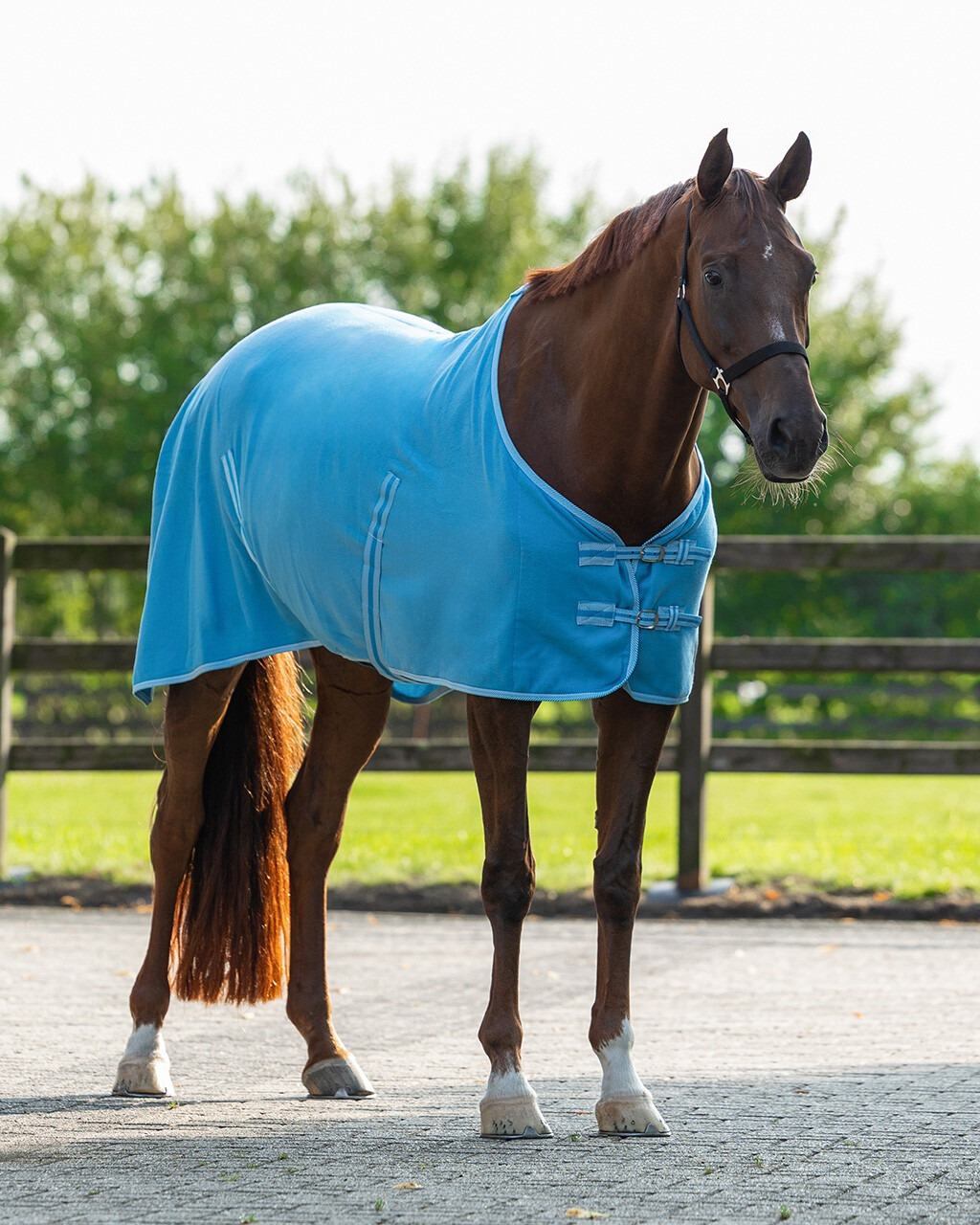 Q-essentials Deken fleece color met singels