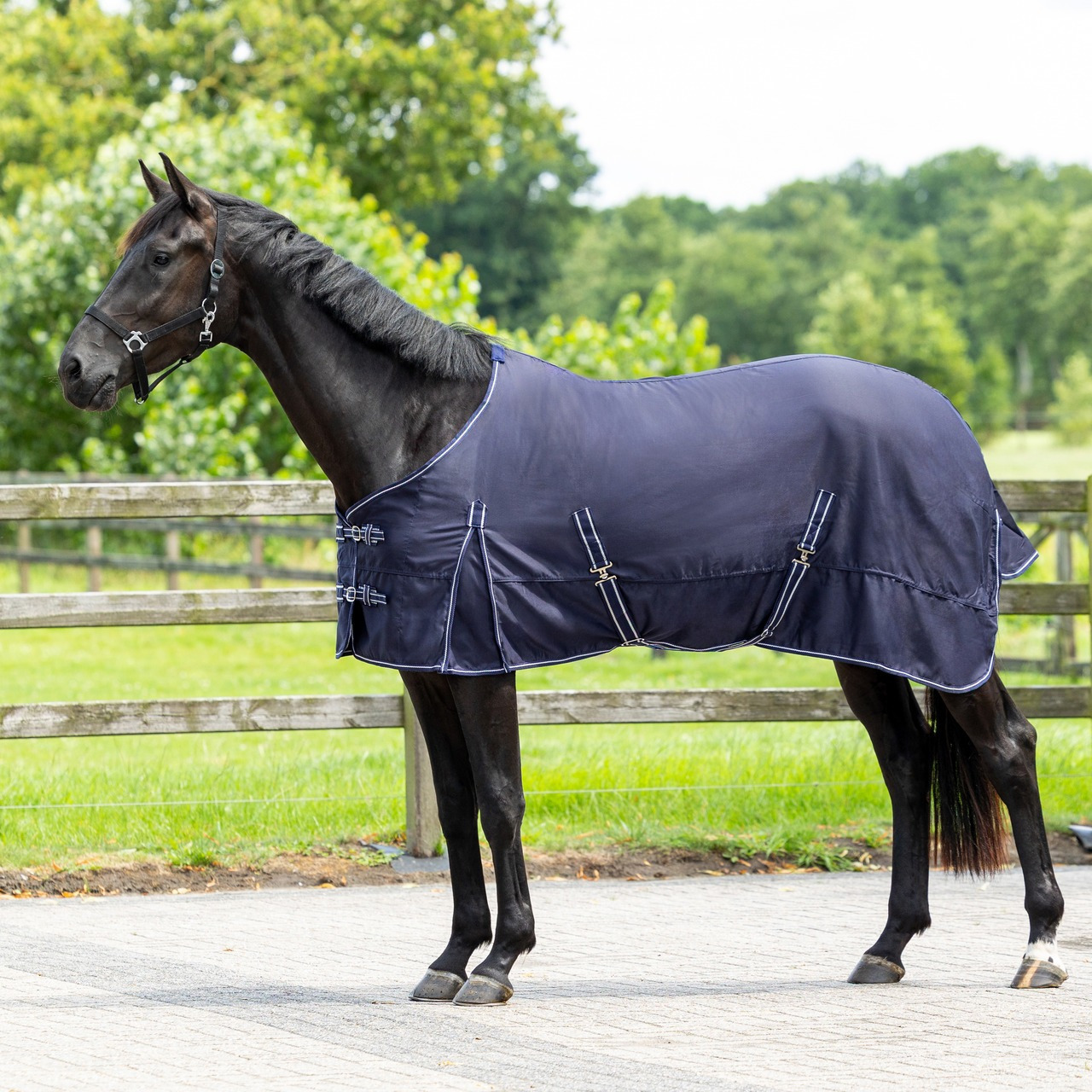 QHP Summer Rug Basic 