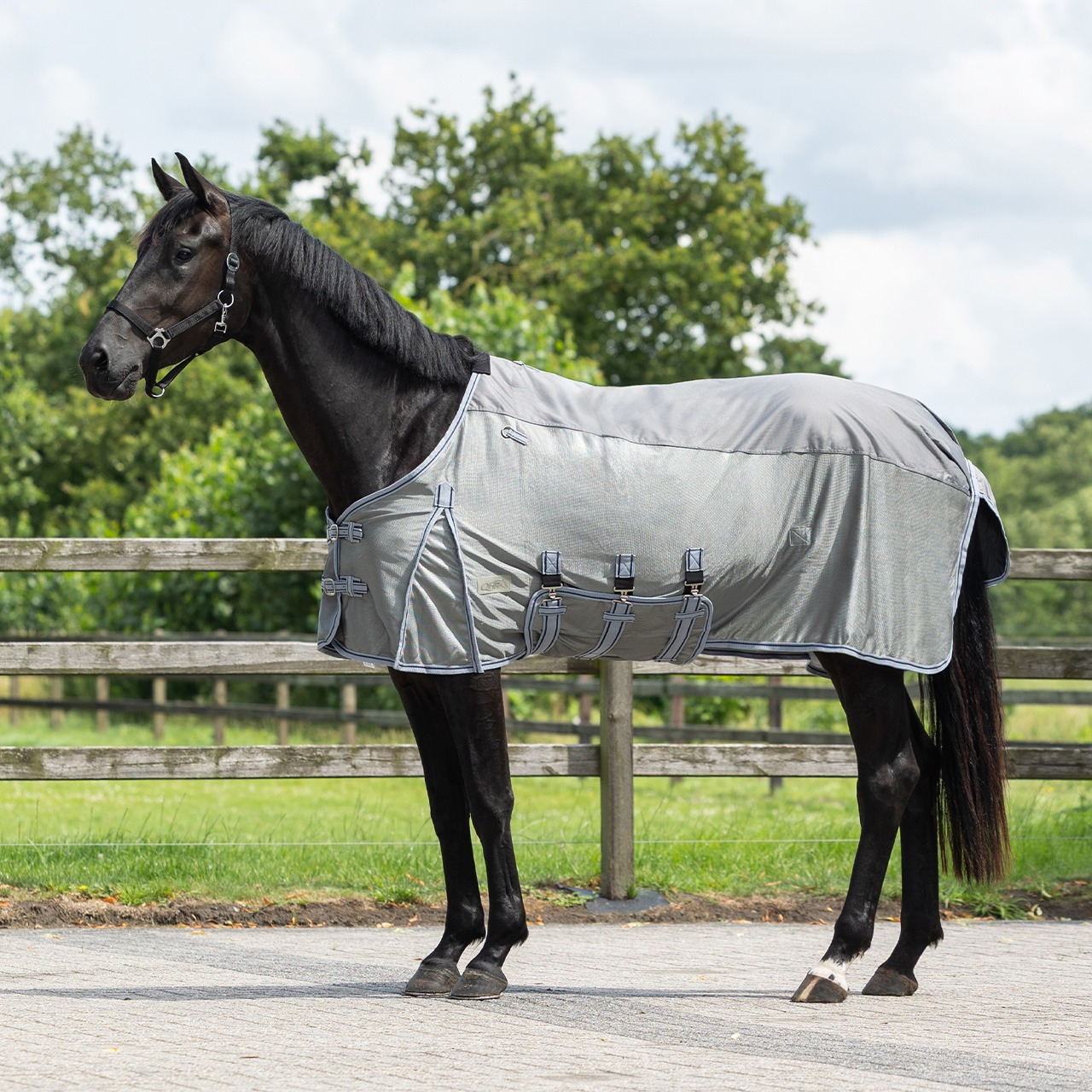 QHP Fly Sheet Combo with Neck