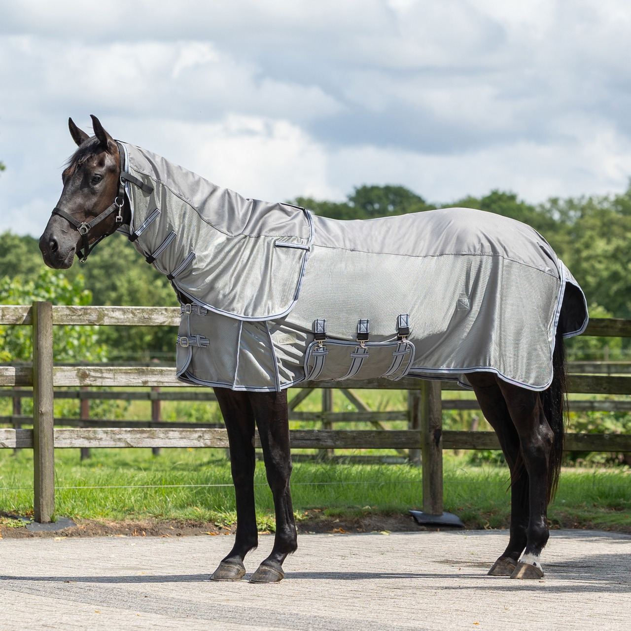 QHP Fly Sheet Combo with Neck