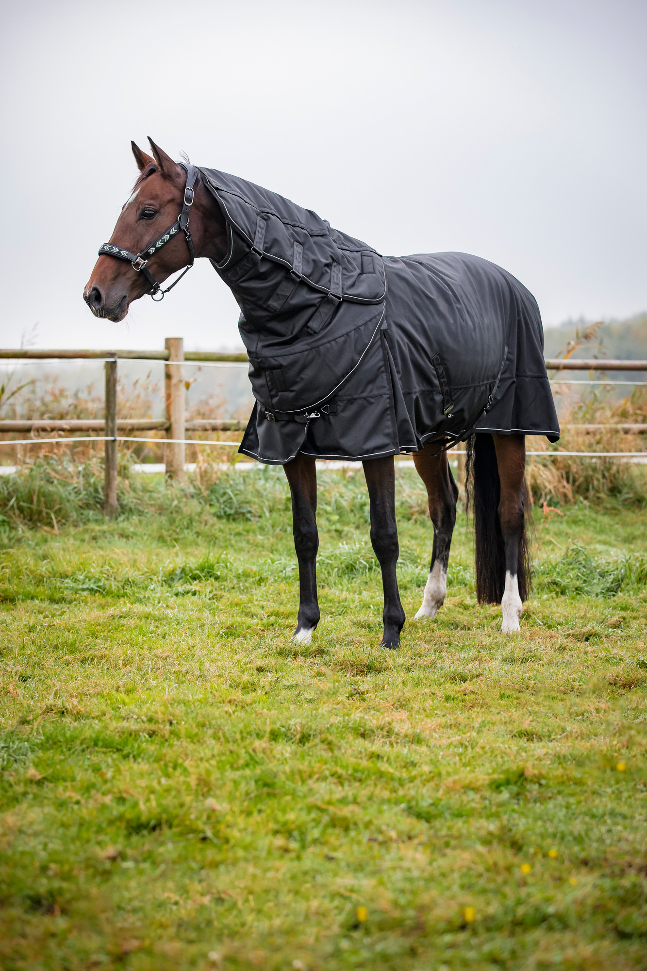 Catago Endurance 2.0 Turnout Blanket 1680D, 150g
