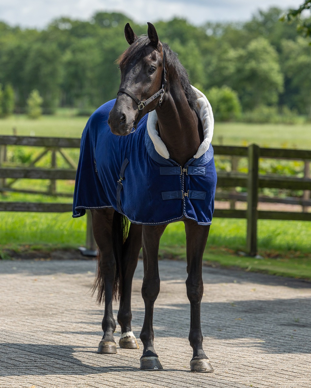 QHP Fleece Rug Brilliance