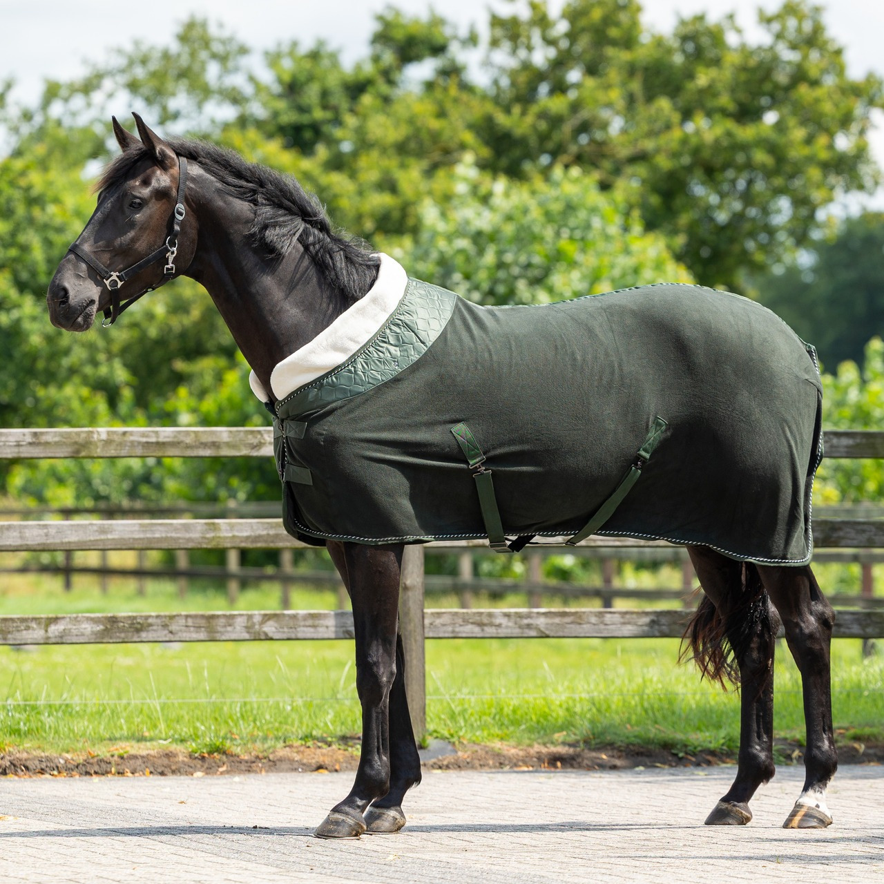 QHP Fleece Rug Brilliance