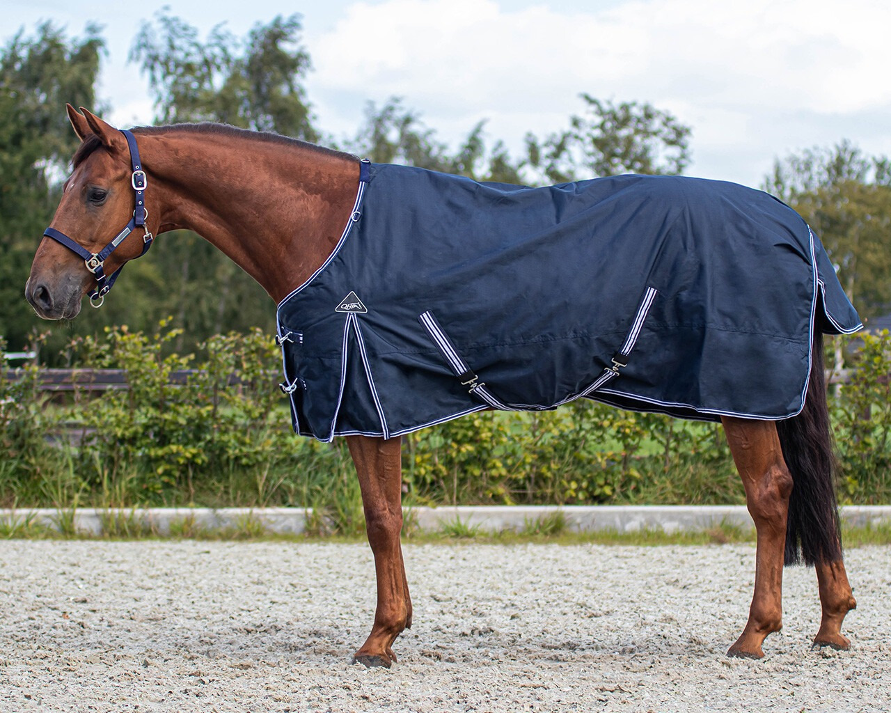 QHP Luxury Fleece Turnout Rain Rug
