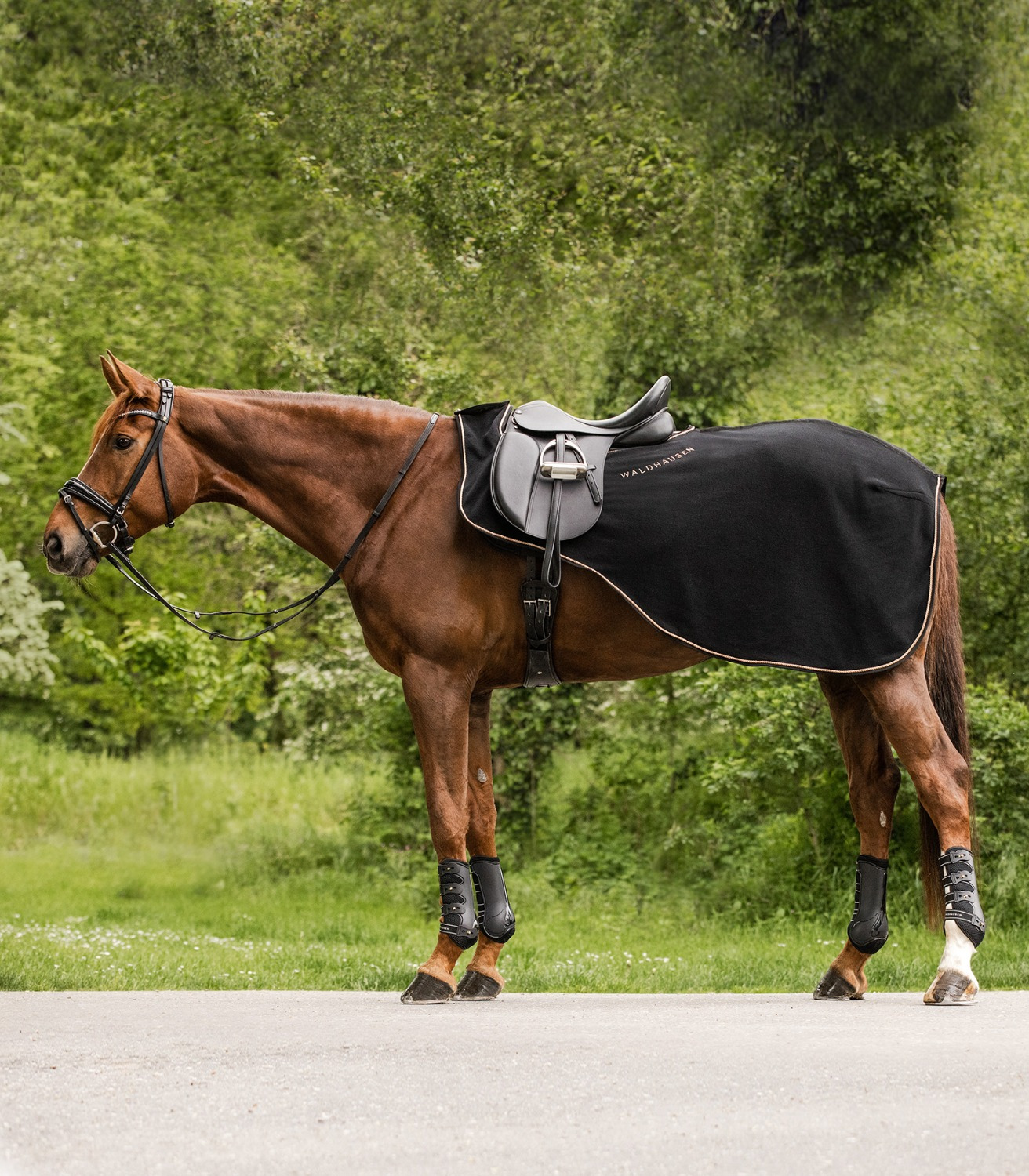 Waldhausen Exercise Rug Modern Rosé