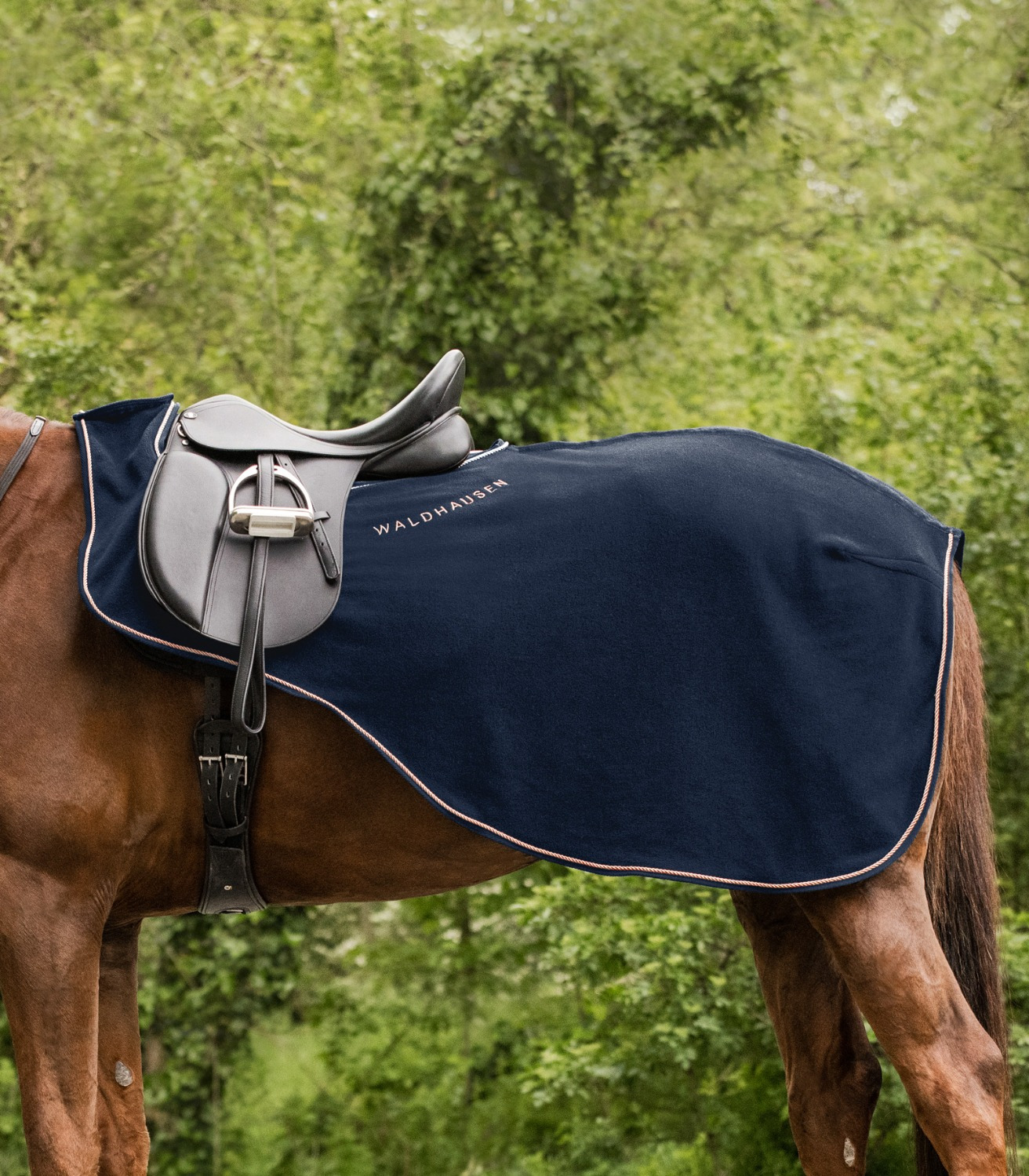 Waldhausen Exercise Rug Modern Rosé