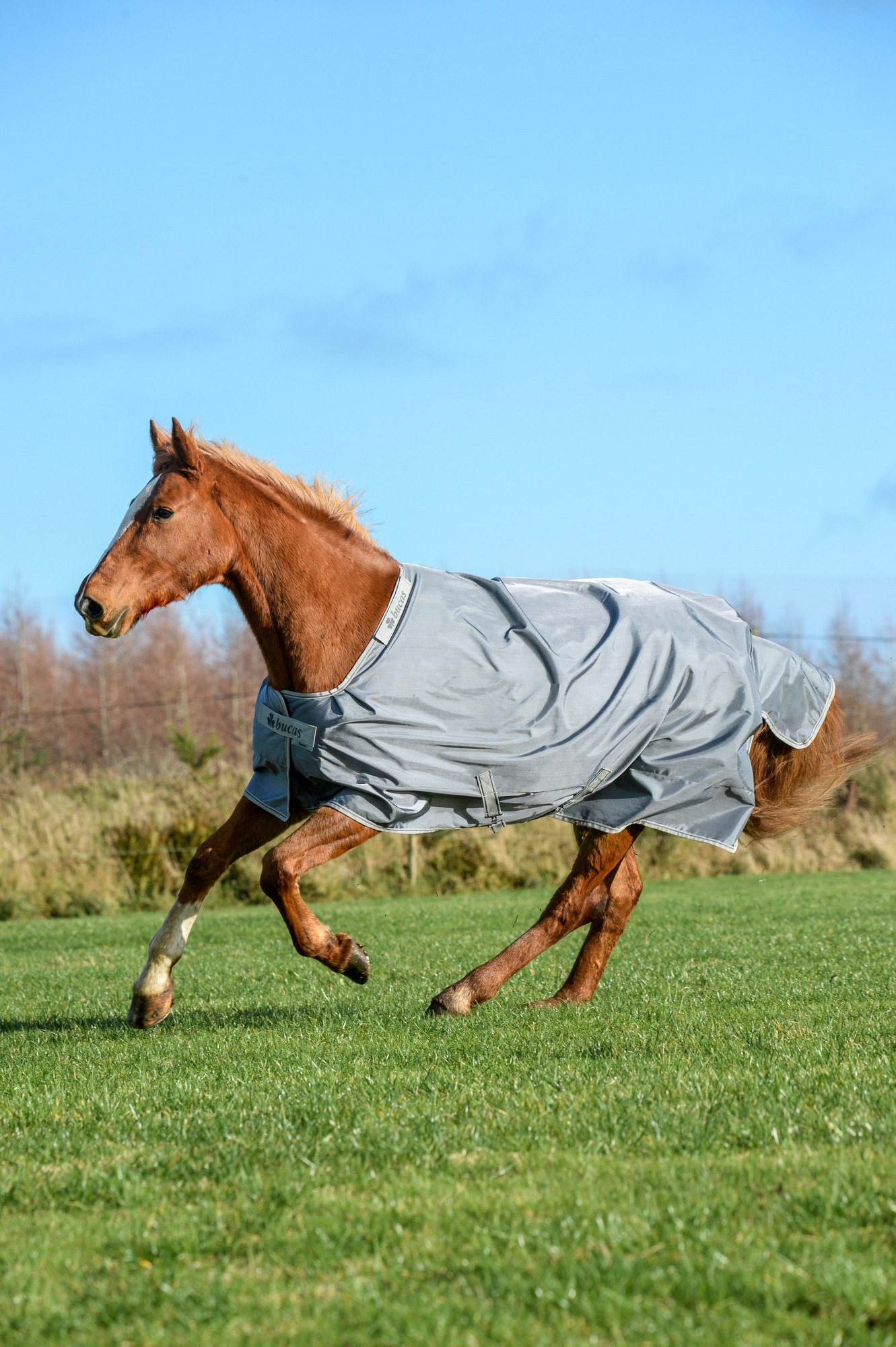 Bucas Smartex Extra Iron Gate