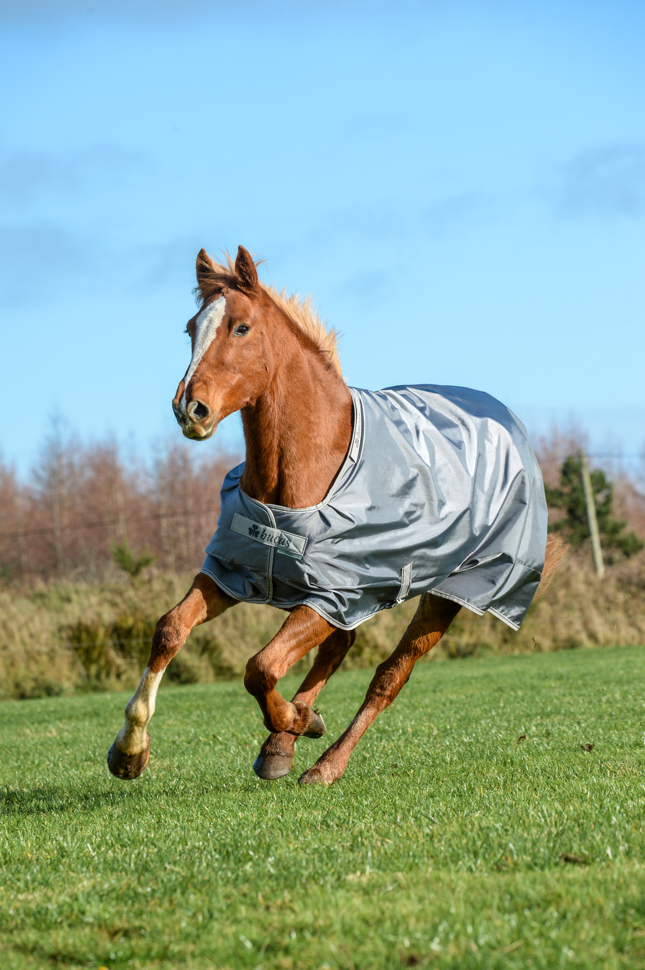 Bucas Smartex Medium Iron Gate