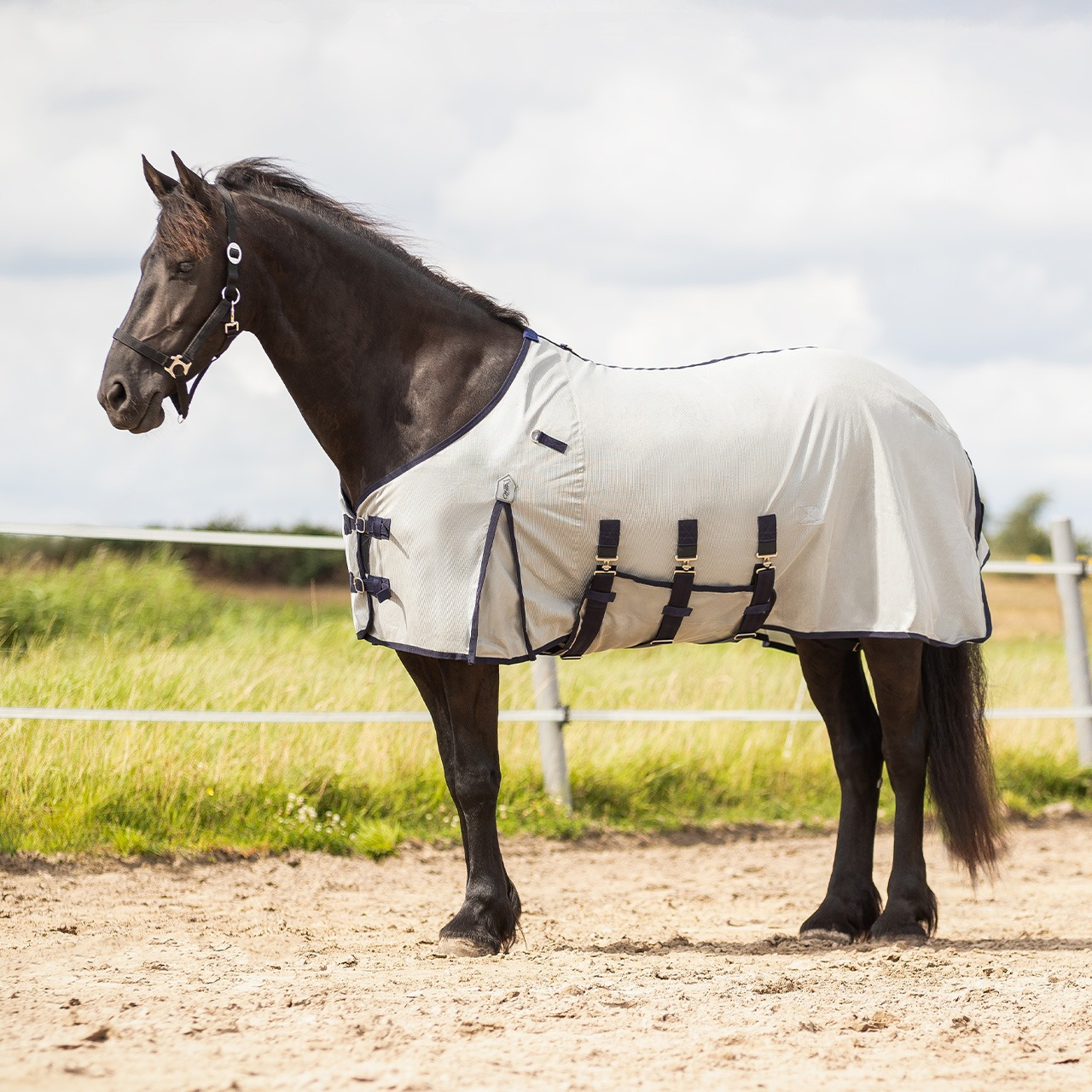 QHP Vliegendeken met nek en masker Big neck