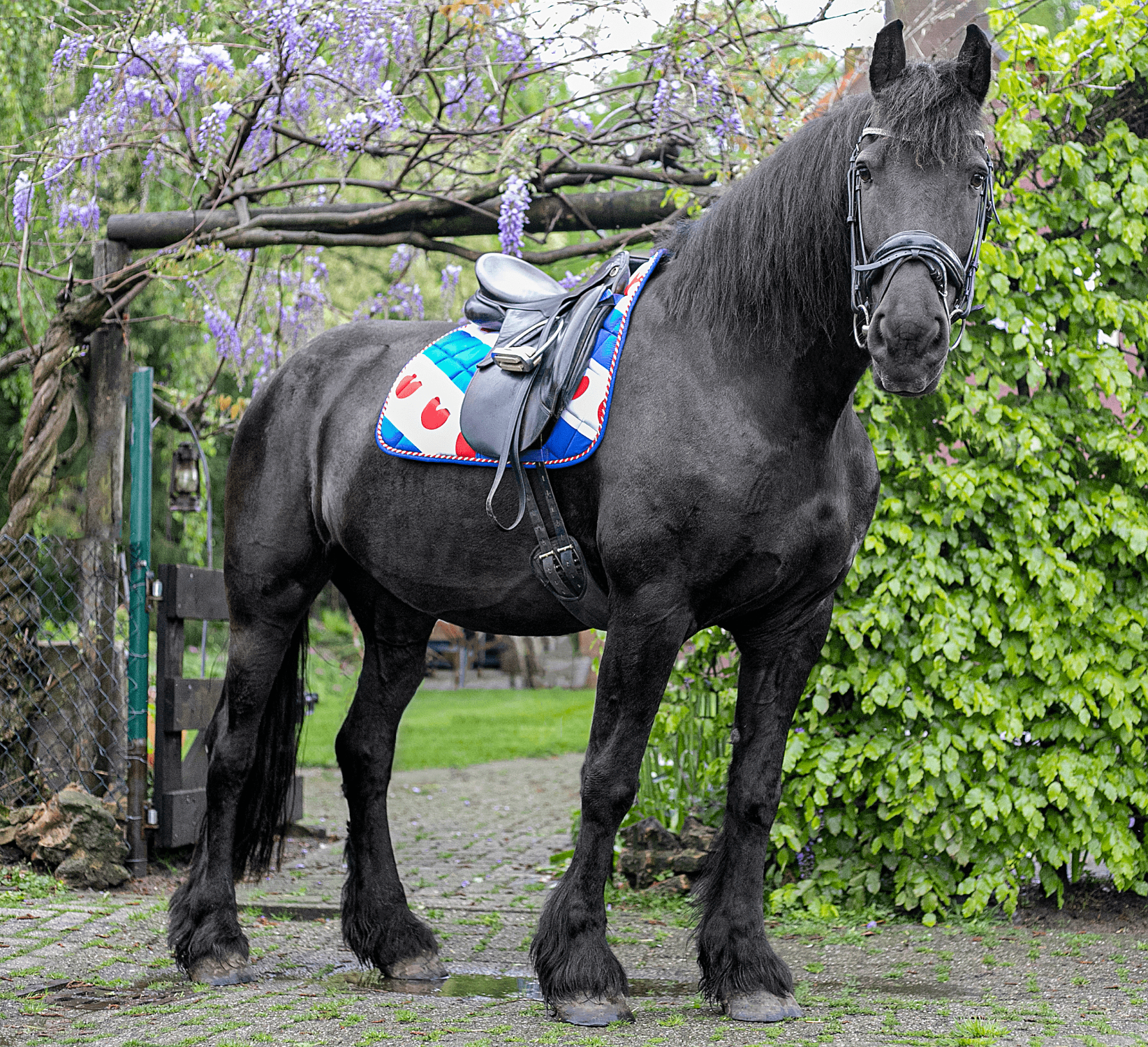 HB Saddle Pad Friesian