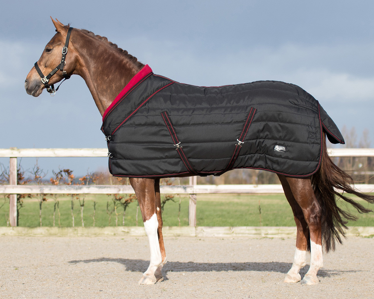 QHP FW'21 Stable Rug Luxury Collection 200gr