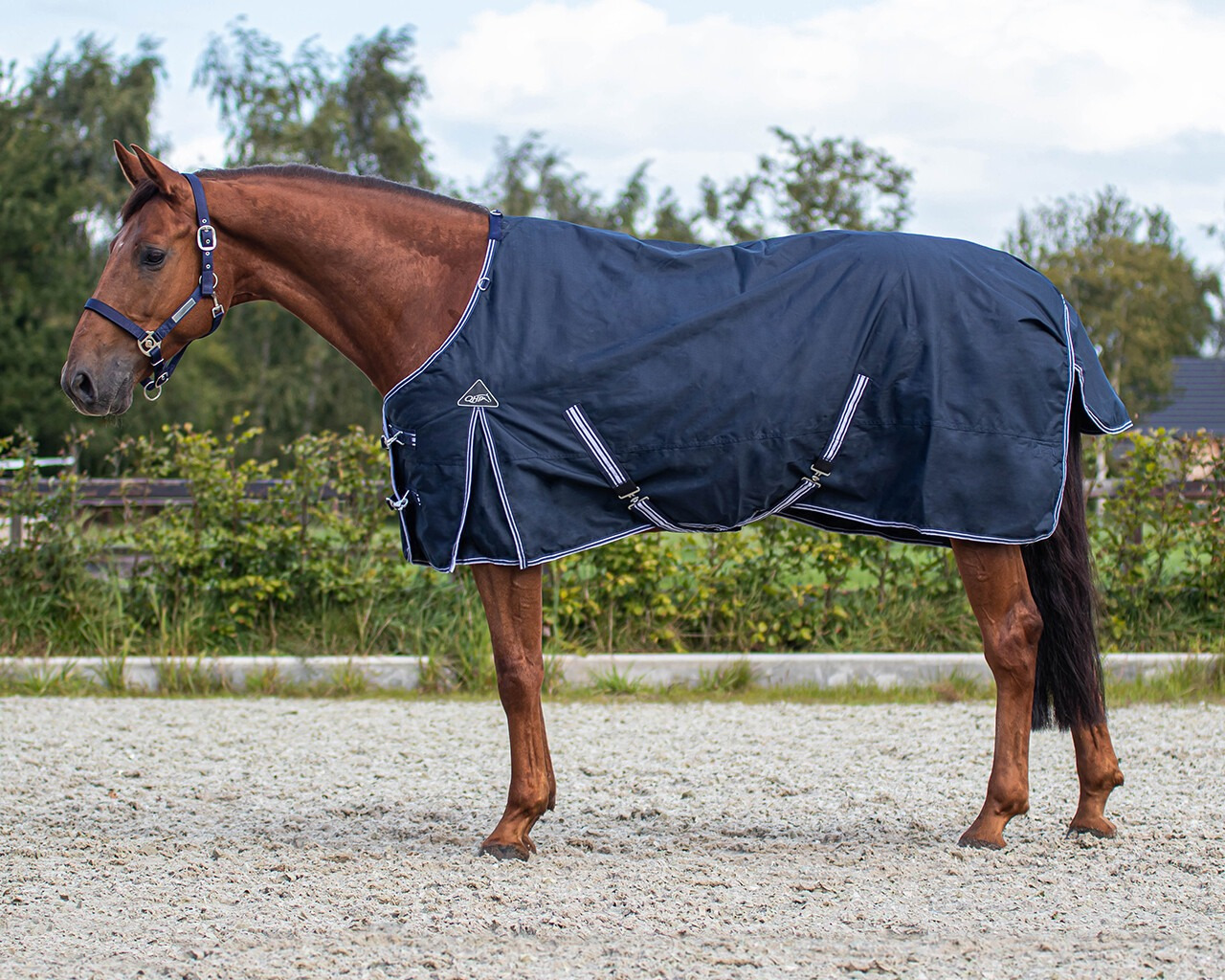 QHP Deluxe Turnout Rug 50g