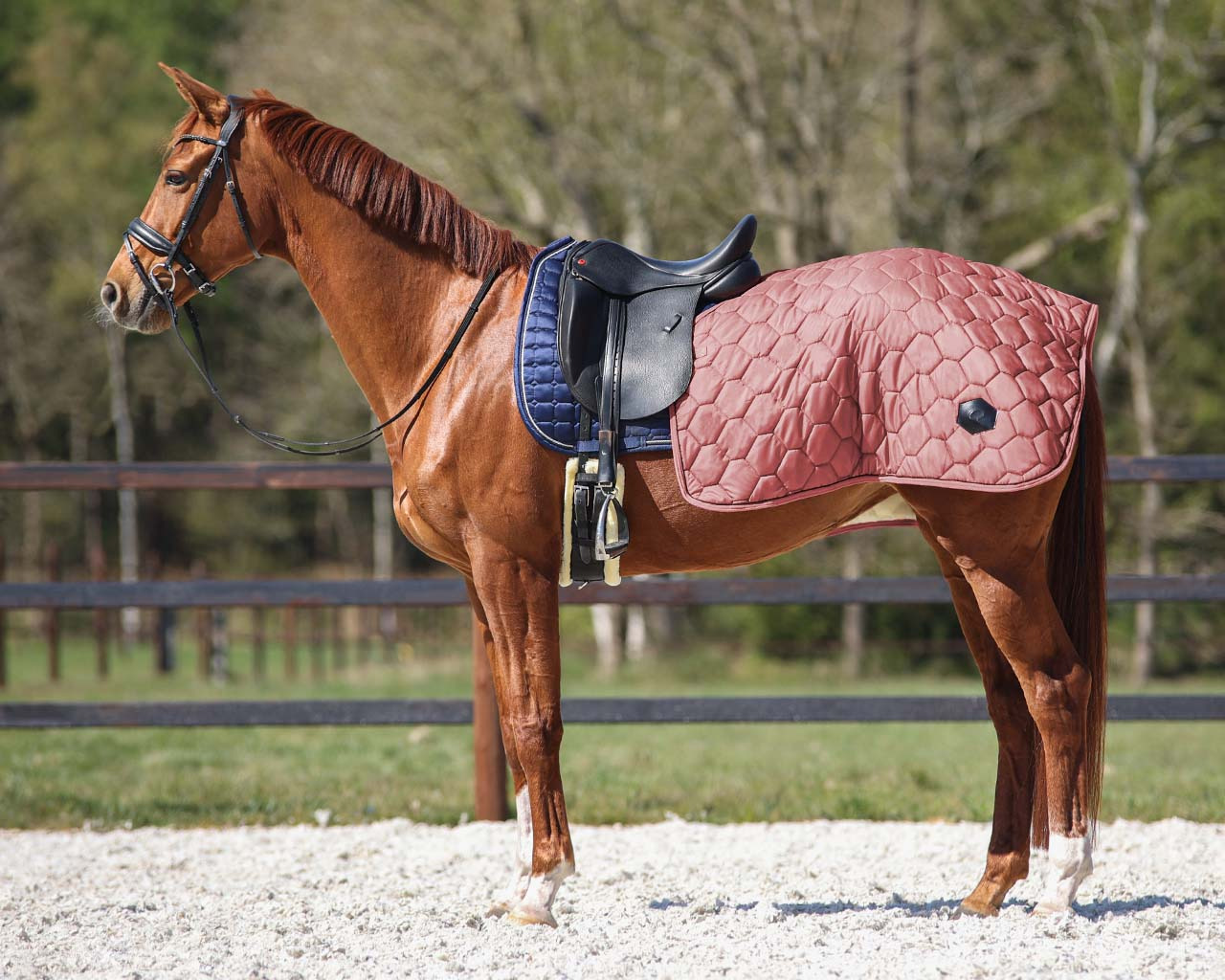 QHP Quarter rug Quarter Classy