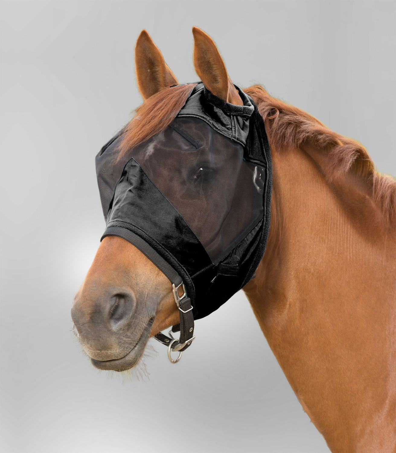 Waldhausen Premium Fly Mask without Ears