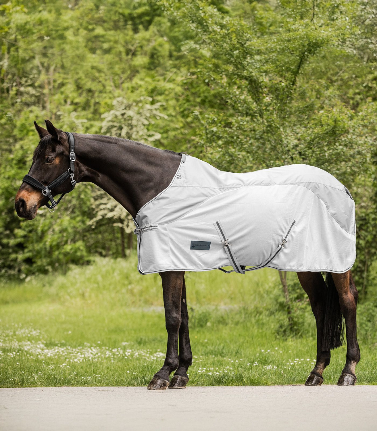 Waldhausen Protect Waterproof Fly Rug